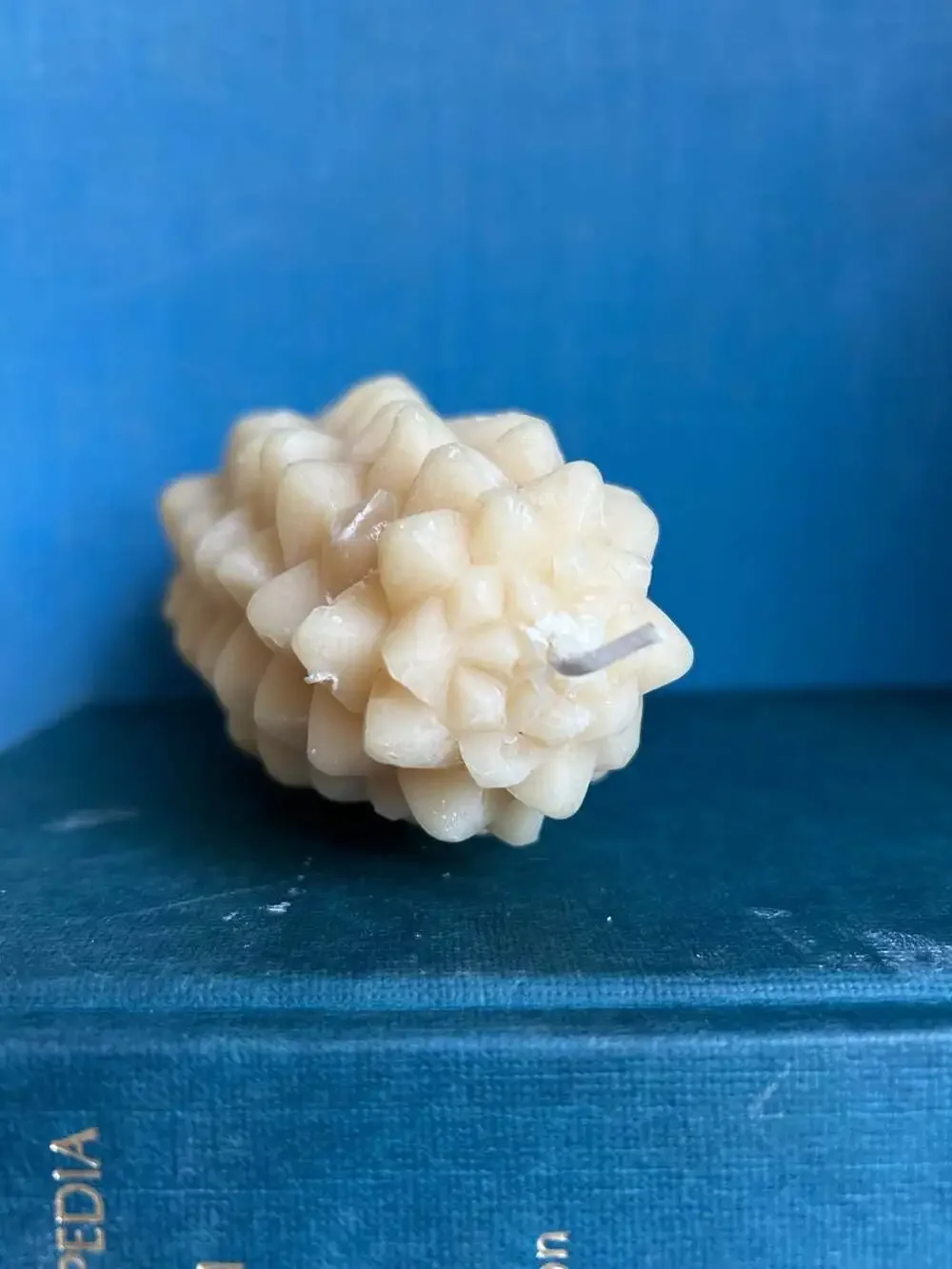 Big Dipper Wax Works 100% Pure Beeswax Large Pinecone Candle